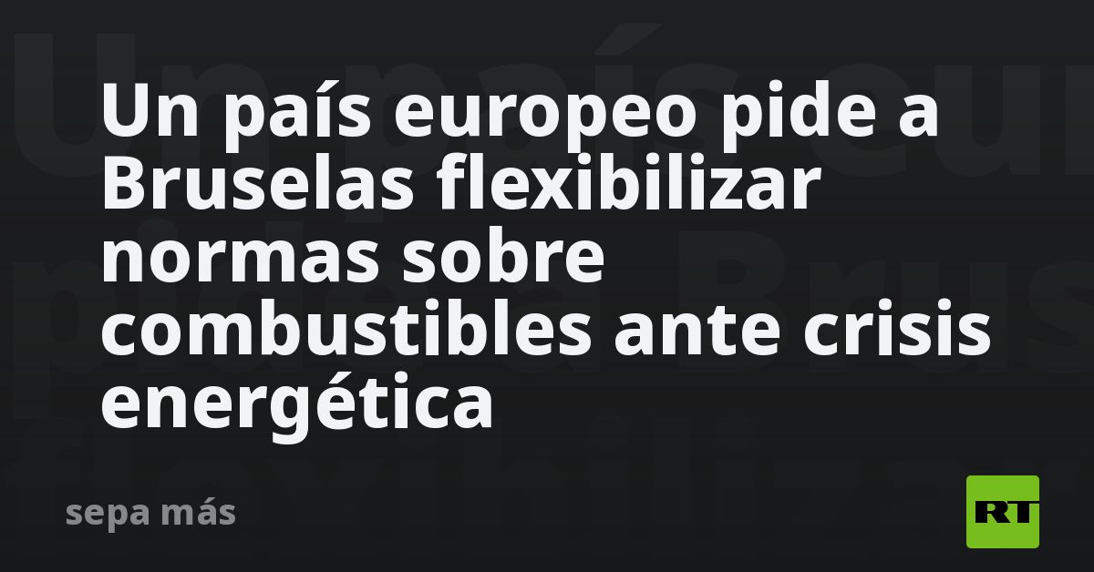 Un país europeo pide a Bruselas flexibilizar normas sobre combustibles ante crisis energética