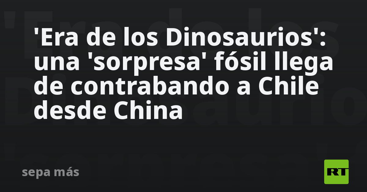 ‘Era de los Dinosaurios’: una ‘sorpresa’ fósil llega de contrabando a Chile desde China (FOTOS)