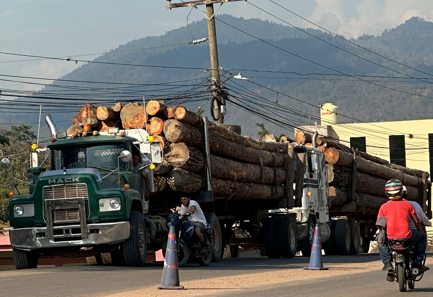 Industria de la madera en Honduras sobrevive entre incendios, tala ilegal y gorgojos