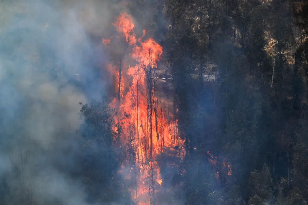 Incendios forestales permanecen activos en Ecuador acentuados por condiciones climáticas adversas