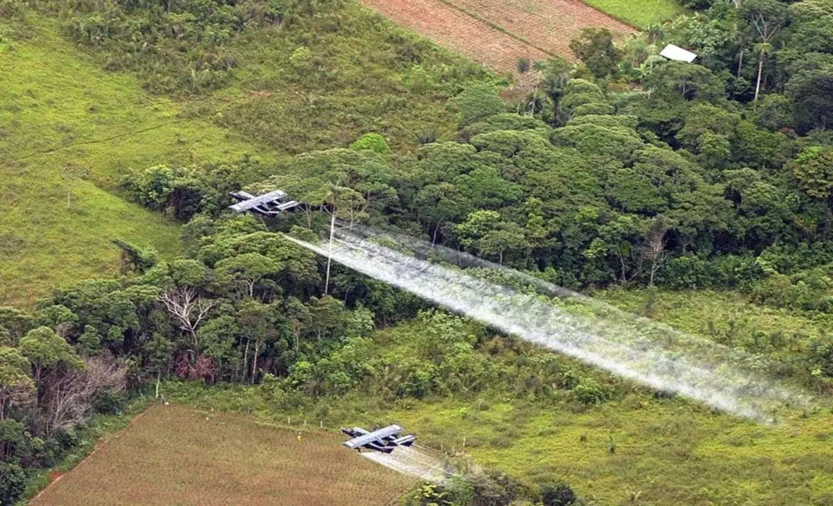 Fuerte rechazo en Colombia a plan del Gobierno para retomar fumigaciones aéreas