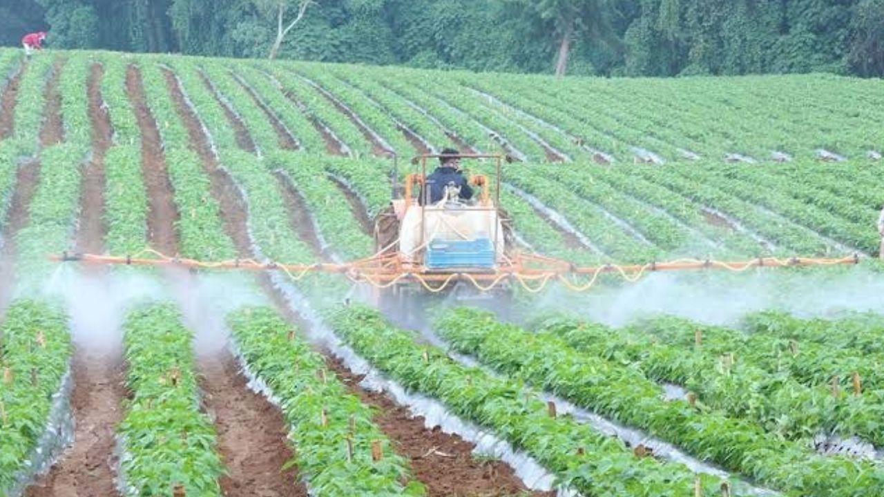 ¿Quieres trabajar fuera de Honduras? Así puedes aplicar a empleo temporal en el extranjero
