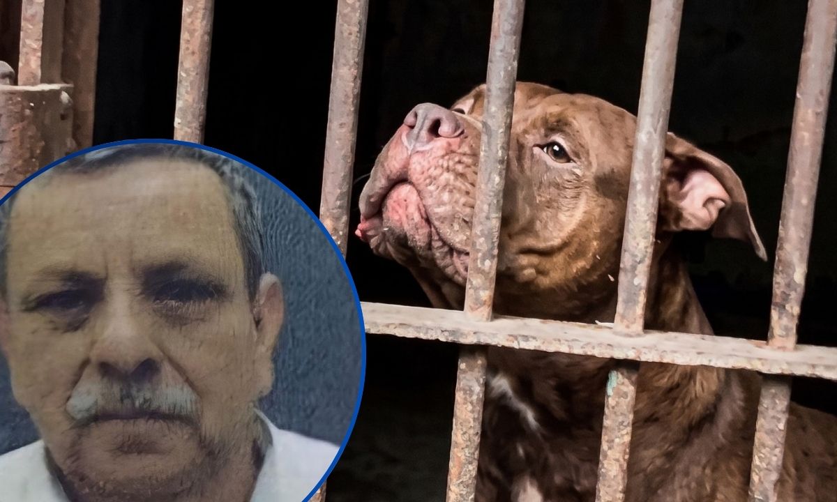 ¡Se cae versión de armas blancas! Forenses concluyen que Alex Maldonado murió por mordedura de Zeus