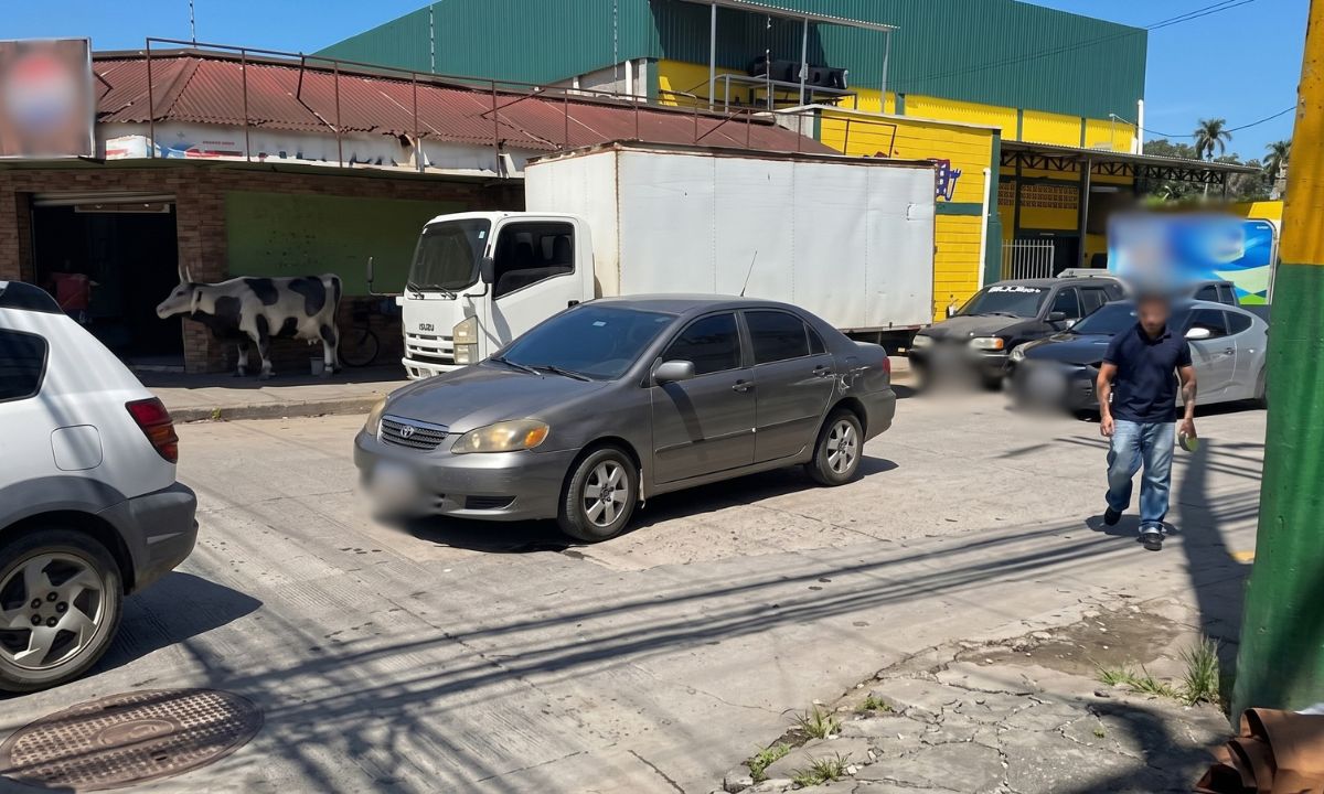 ¡Se lo llevaron! Privan de su libertad a chofer de camión en pleno Centro de El Progreso