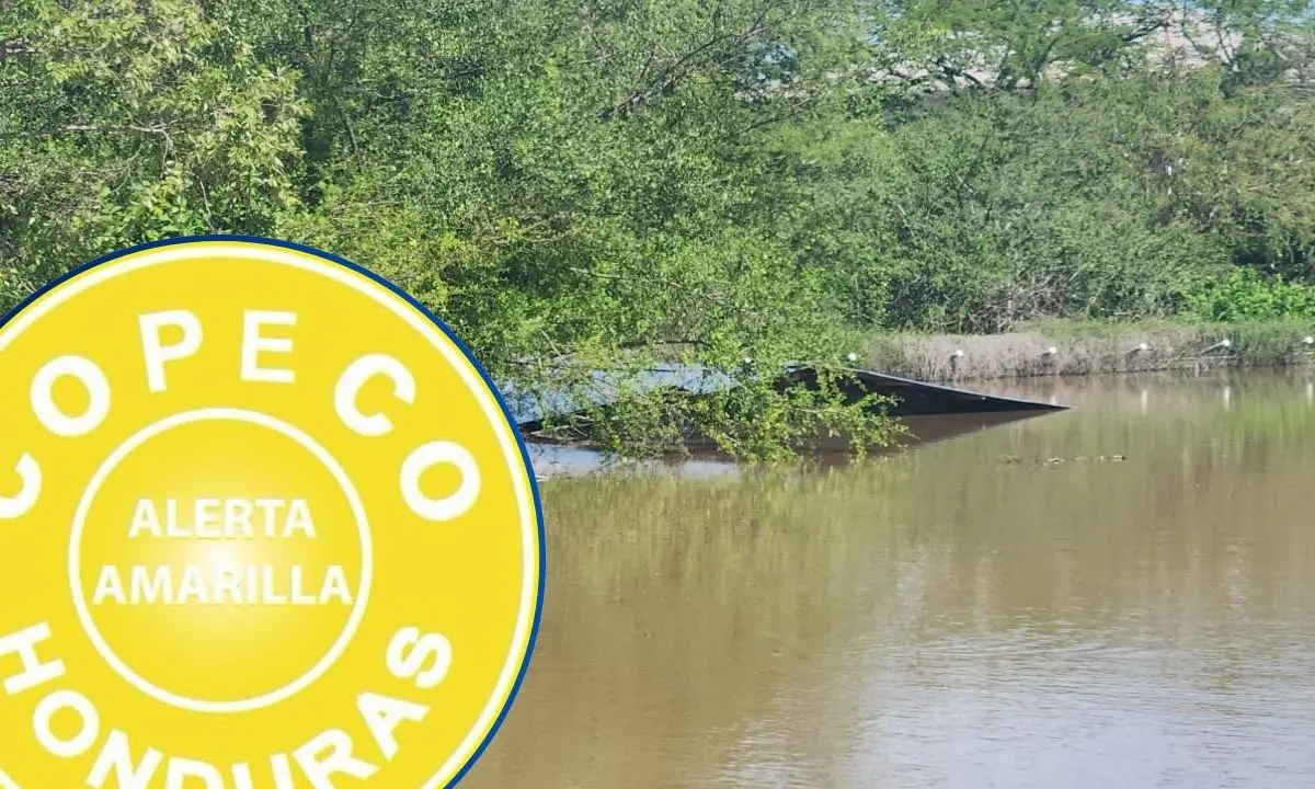 ¡Atención zona sur! COPECO emite alerta amarilla en sectores bajos del río Goascorán