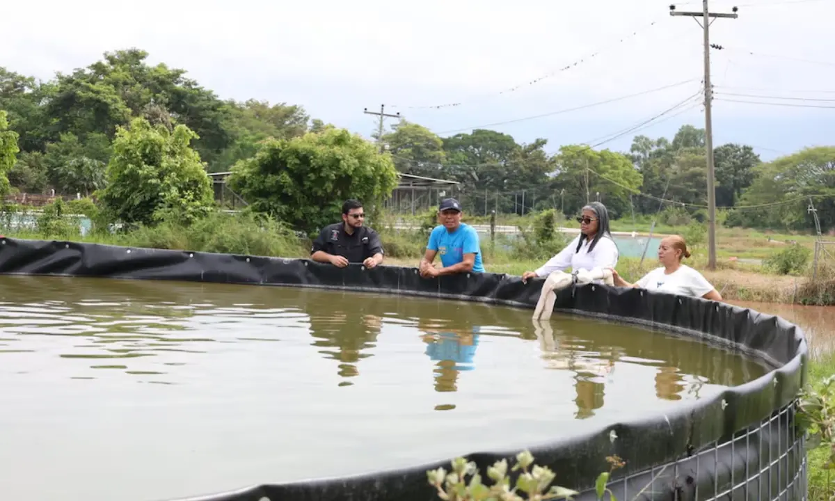 Honduras invertirá $94,300 para reactivar centro de tilapia