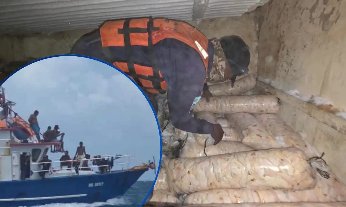 ¡Pesca ilegal de caracol y langosta! Decomisan más de 2,000 libras a barco en el Caribe