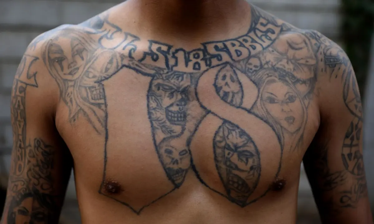 Reformas buscan usar tatuajes alusivos a grupos criminales como prueba por terrorismo