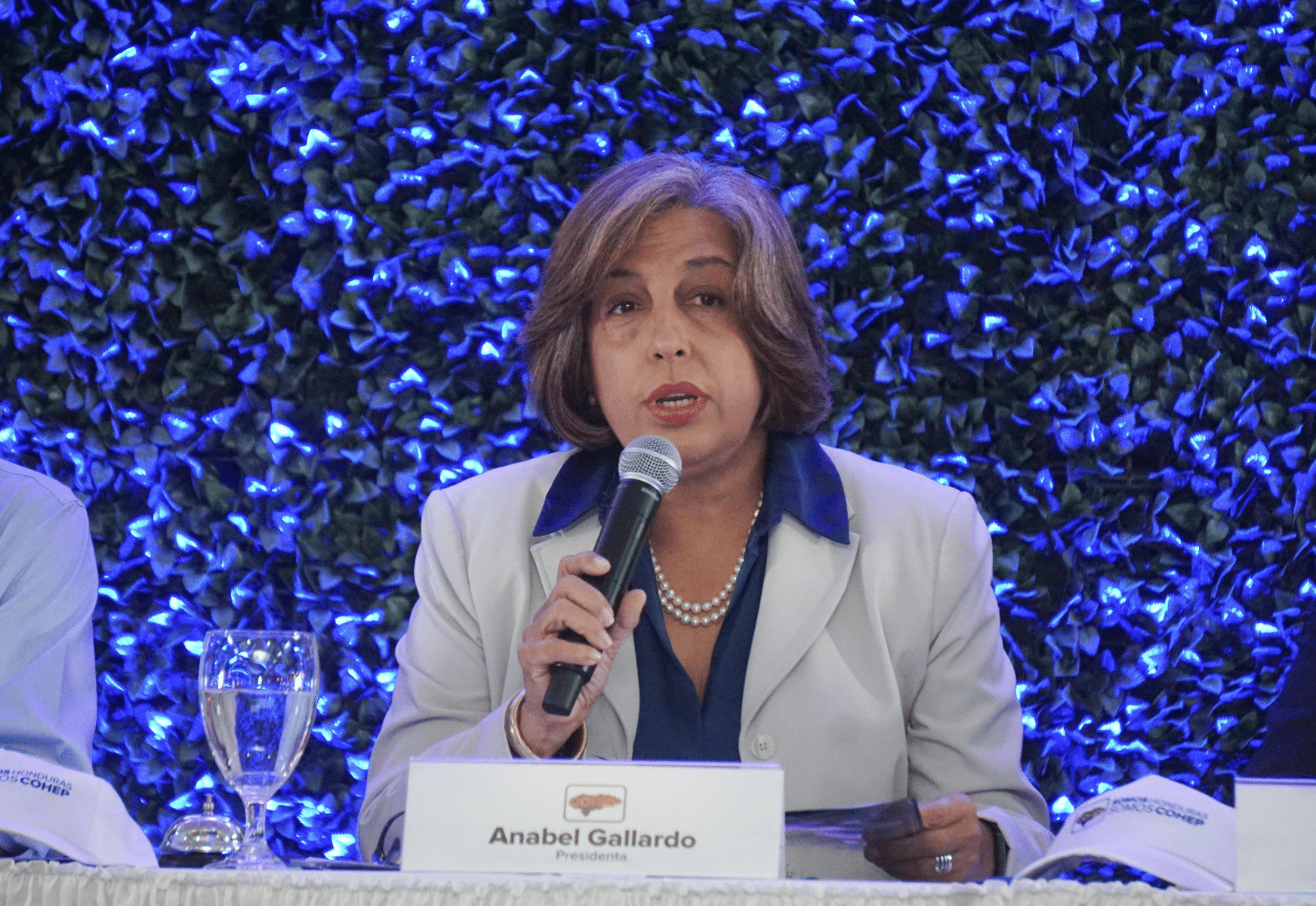 Gallardo llama a impulsar la transformación digital de las empresas hondureñas
