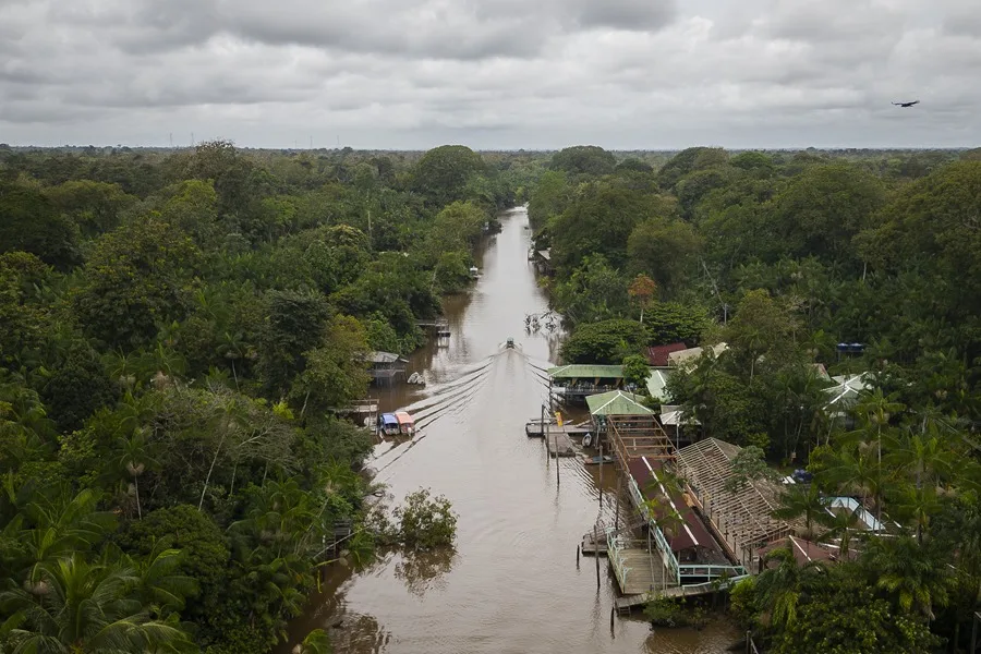 Eventual triunfo de Flávio Bolsonaro en Brasil amenazaría la conservación de la Amazonía