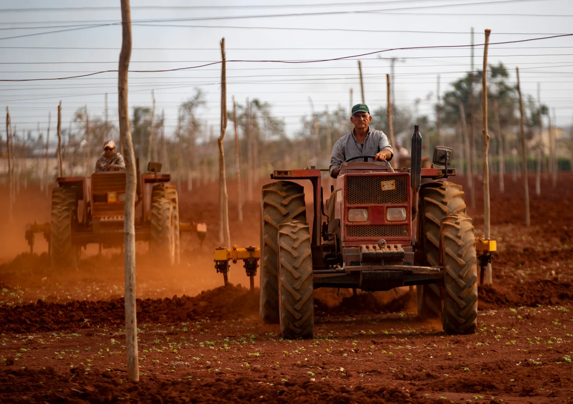 Sector estatal y privado: una alianza para impulsar la economía cubana
