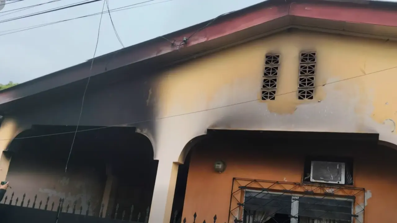 Fuego alcanza a cinco cachorros durante incendio en San Pedro Sula