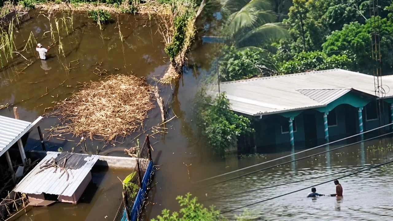 El lago de Yojoa recupera agua y terrenos, pero familias pierden paz y cultivos
