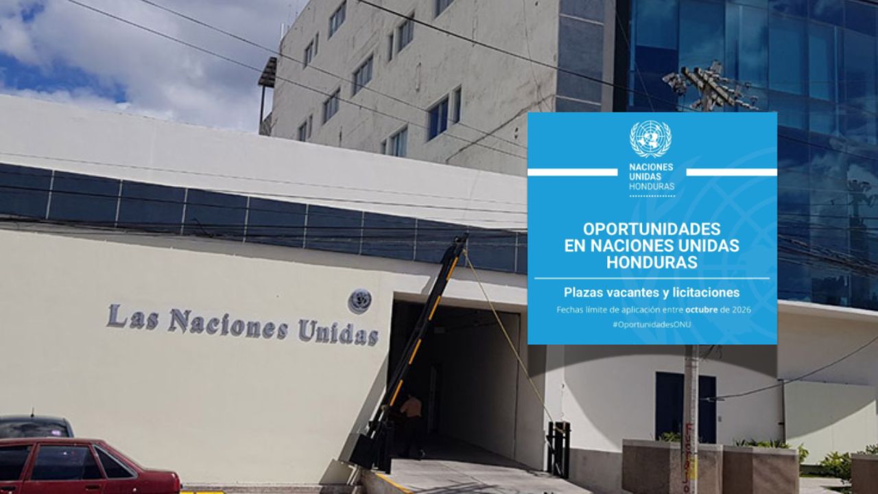 Plazas de trabajo en ONU Honduras: requisitos y cómo aplicar a las vacantes